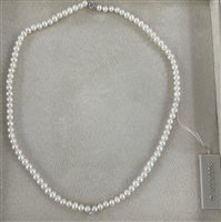 Collar Mikiko Mujer in Perlas MC5040O4BR004 - MC5040O4BR004